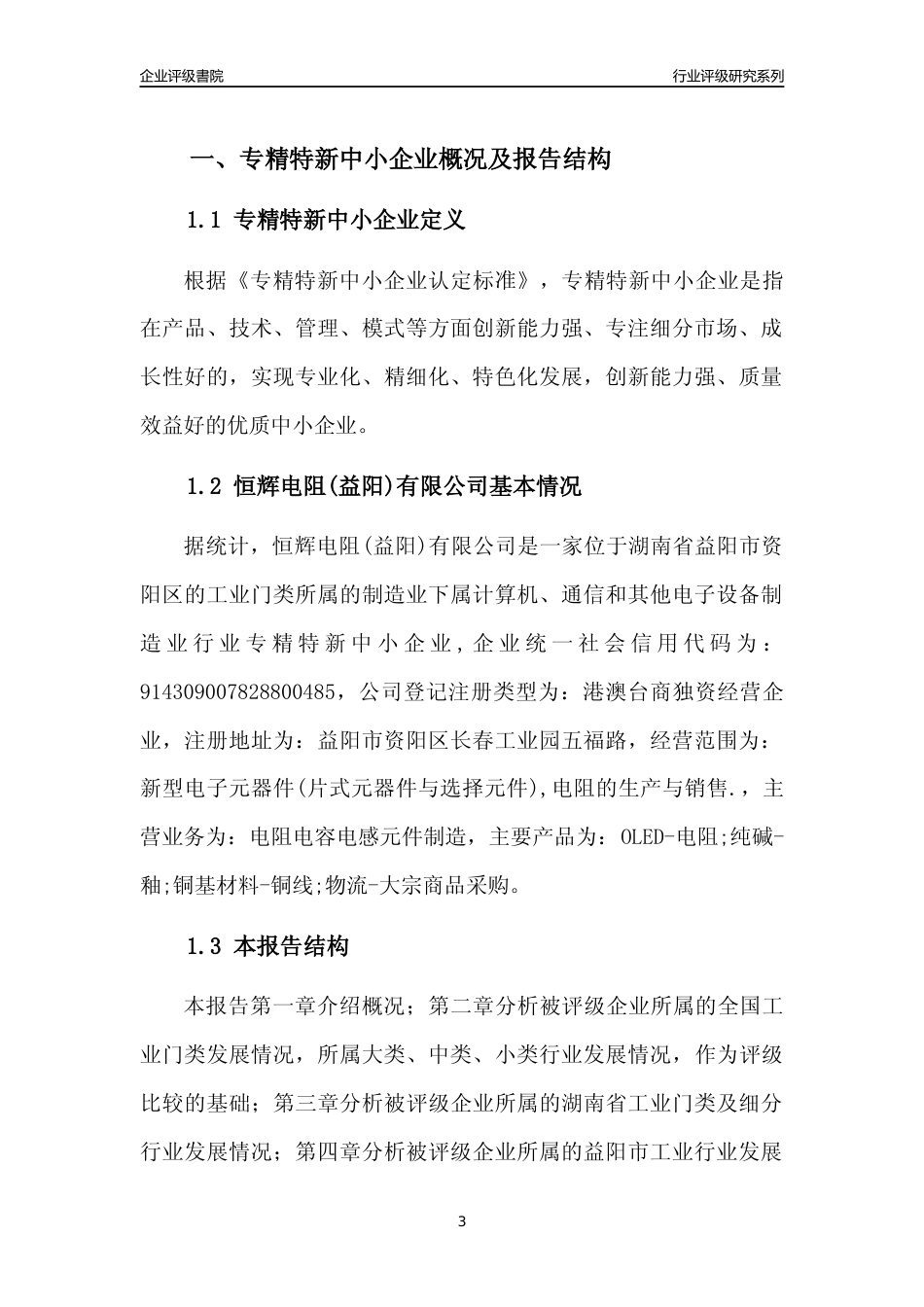 [专精特新]2022年恒辉电阻(益阳)有限公司行业竞争力评级分析报告(2023版)_第3页