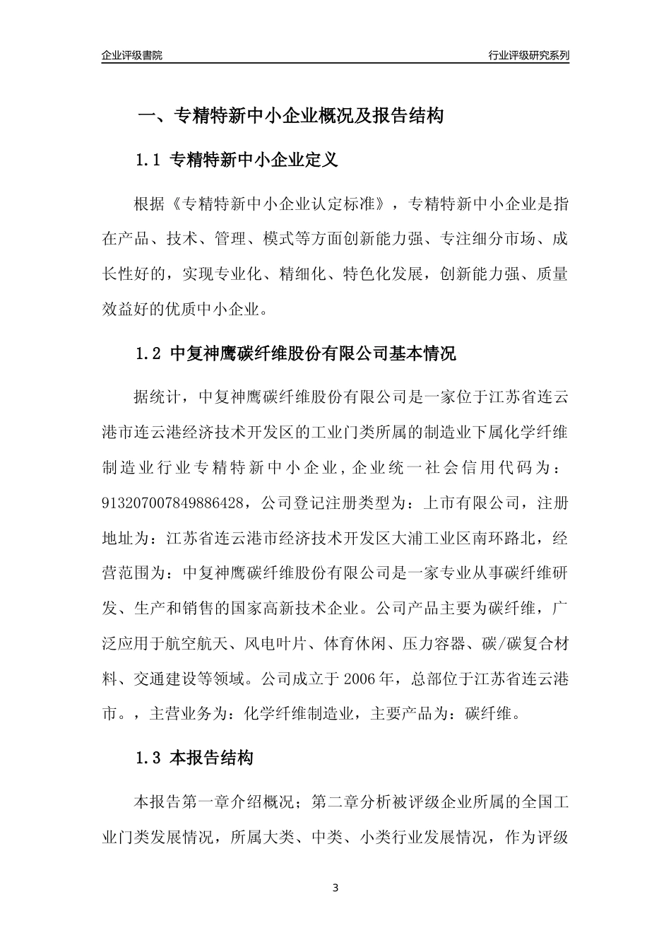 [专精特新]2022年中复神鹰碳纤维股份有限公司行业竞争力评级分析报告(2023版)_第3页
