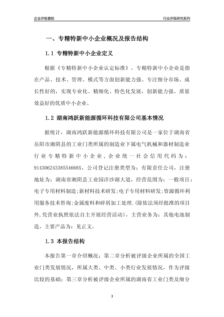 [专精特新]湖南鸿跃新能源循环科技有限公司行业竞争力评级分析报告(2023版)_第3页