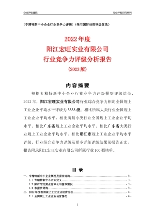 [专精特新]阳江宏旺实业有限公司行业竞争力评级分析报告(2023版)