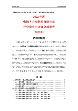 [专精特新]索通齐力炭材料有限公司行业竞争力评级分析报告(2023版)
