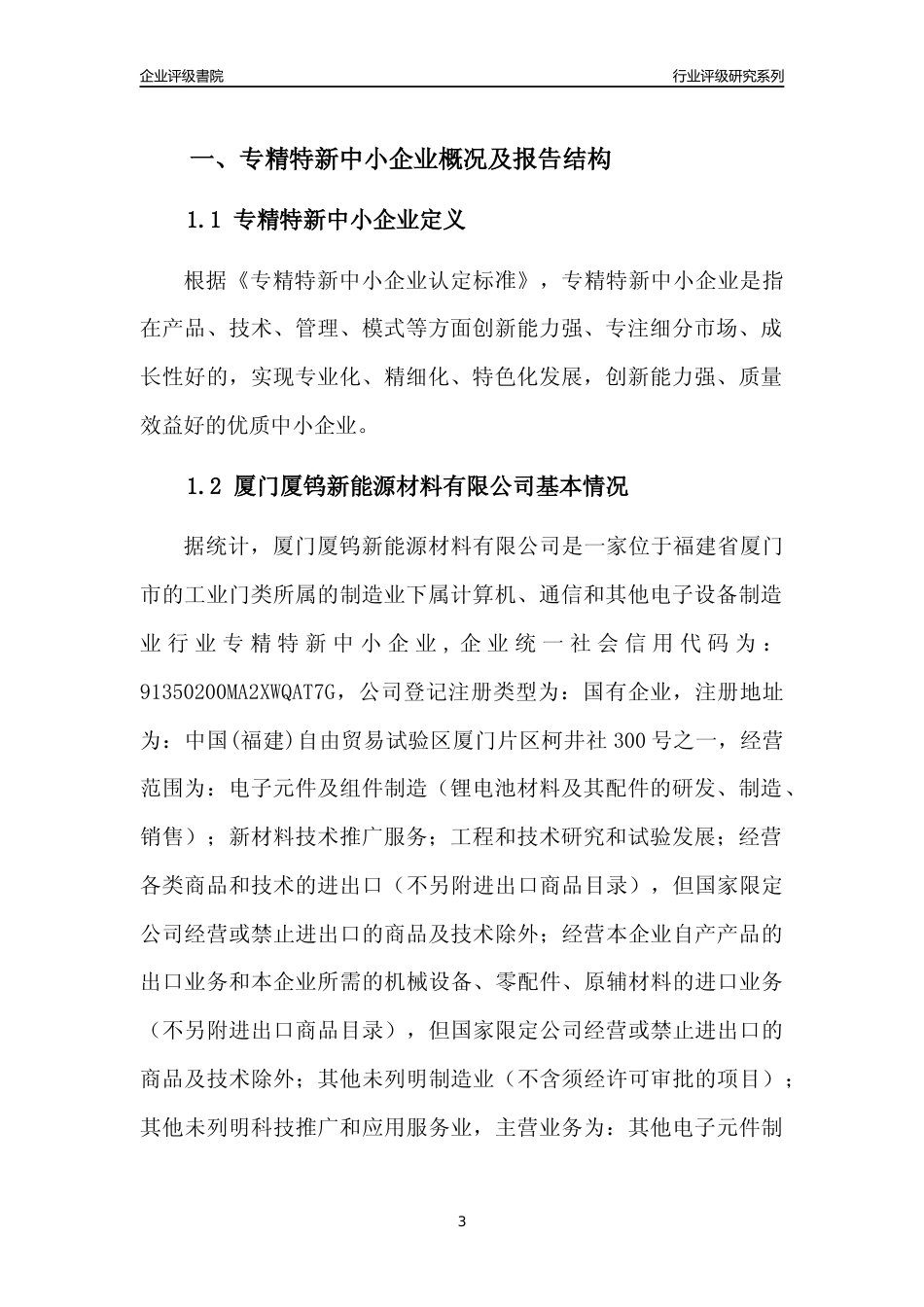 [专精特新]厦门厦钨新能源材料有限公司行业竞争力评级分析报告(2023版)_第3页
