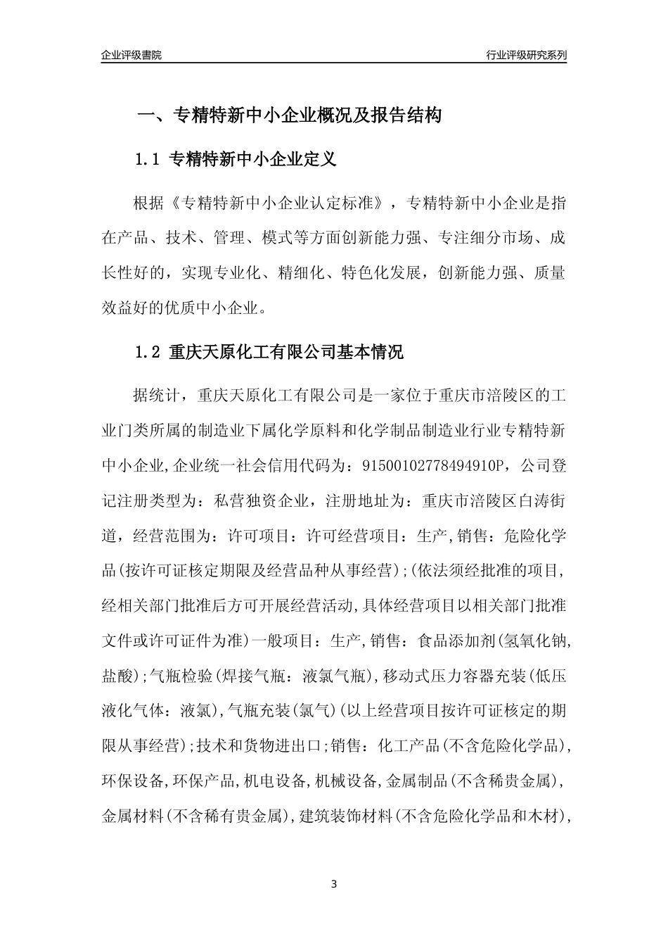 [专精特新]重庆天原化工有限公司行业竞争力评级分析报告(2023版)_第3页
