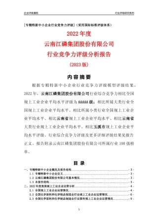 [专精特新]云南江磷集团股份有限公司行业竞争力评级分析报告(2023版)