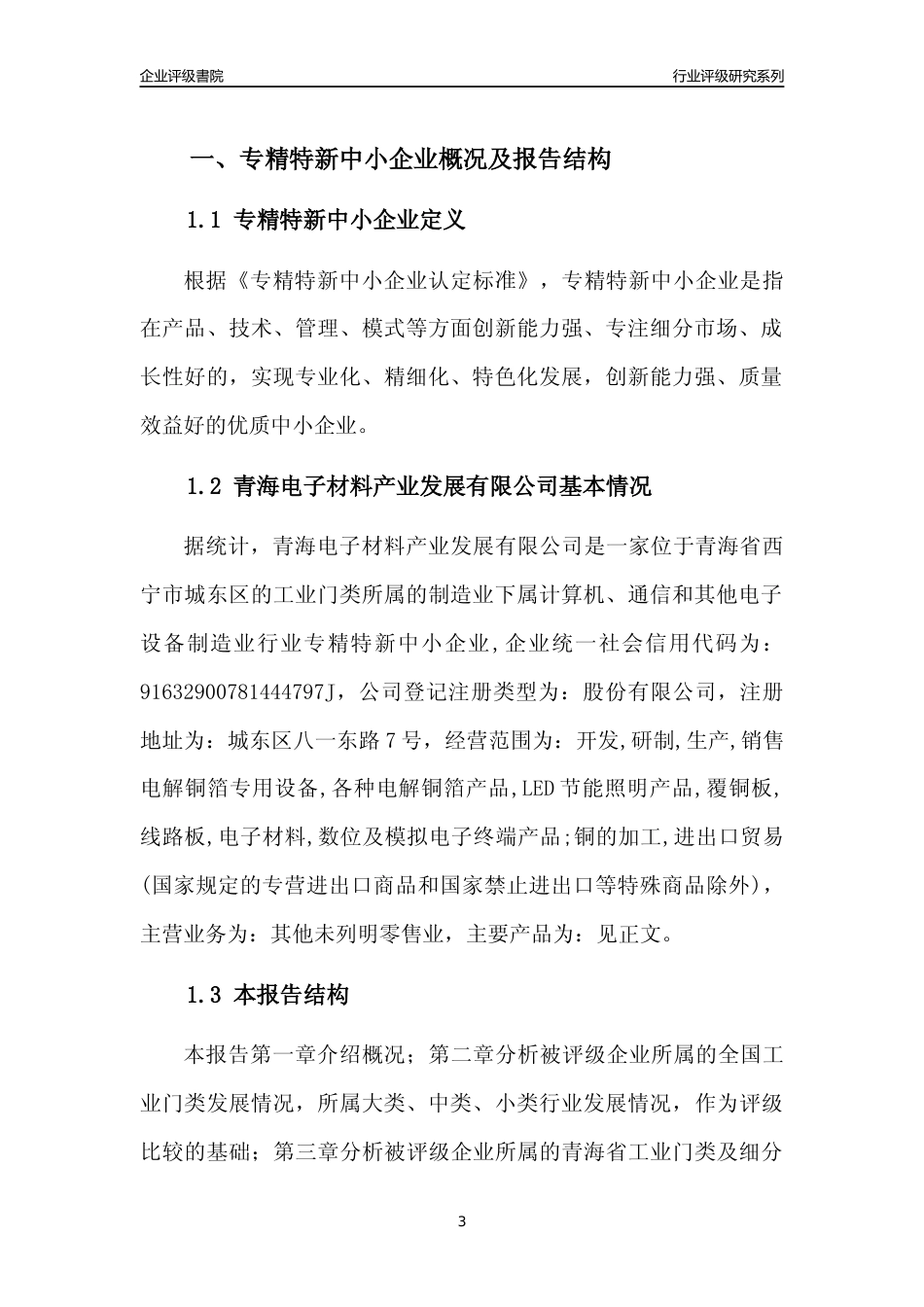 [专精特新]青海电子材料产业发展有限公司行业竞争力评级分析报告(2023版)_第3页