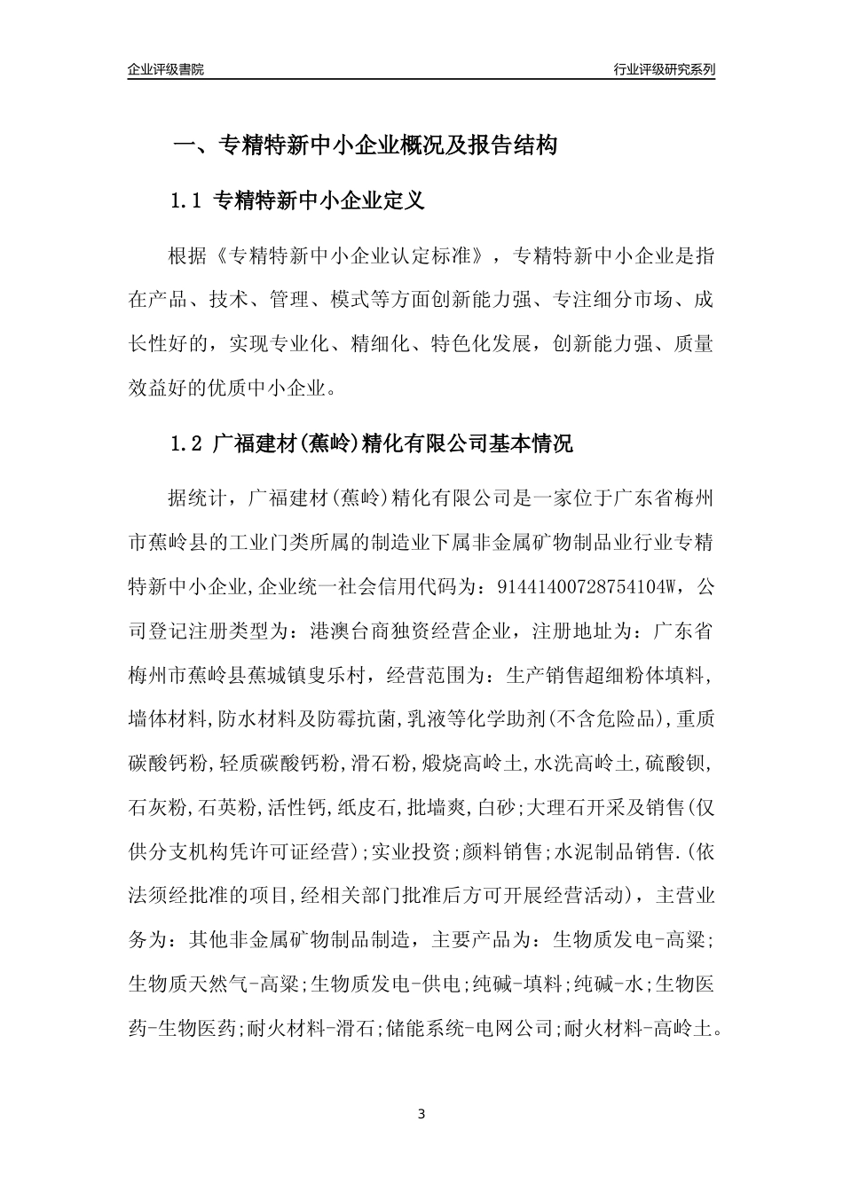 [专精特新]广福建材(蕉岭)精化有限公司行业竞争力评级分析报告(2023版)_第3页