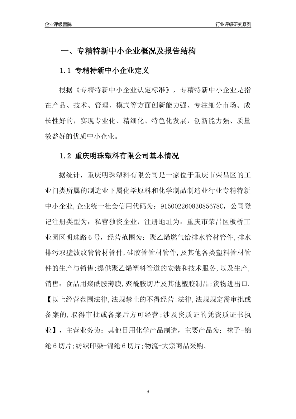 [专精特新]重庆明珠塑料有限公司行业竞争力评级分析报告(2023版)_第3页