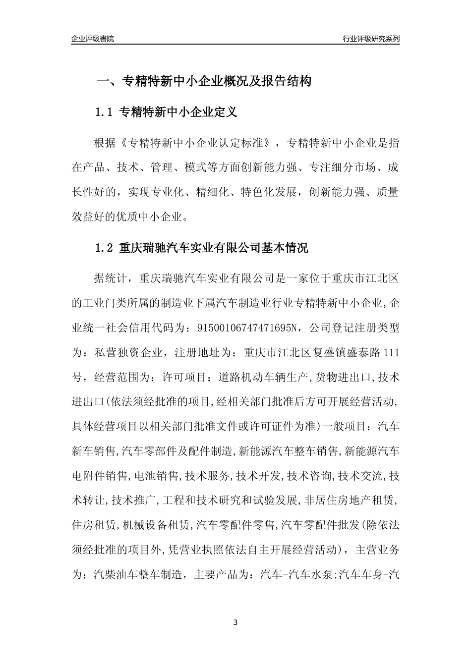 [专精特新]重庆瑞驰汽车实业有限公司行业竞争力评级分析报告(2023版)_第3页