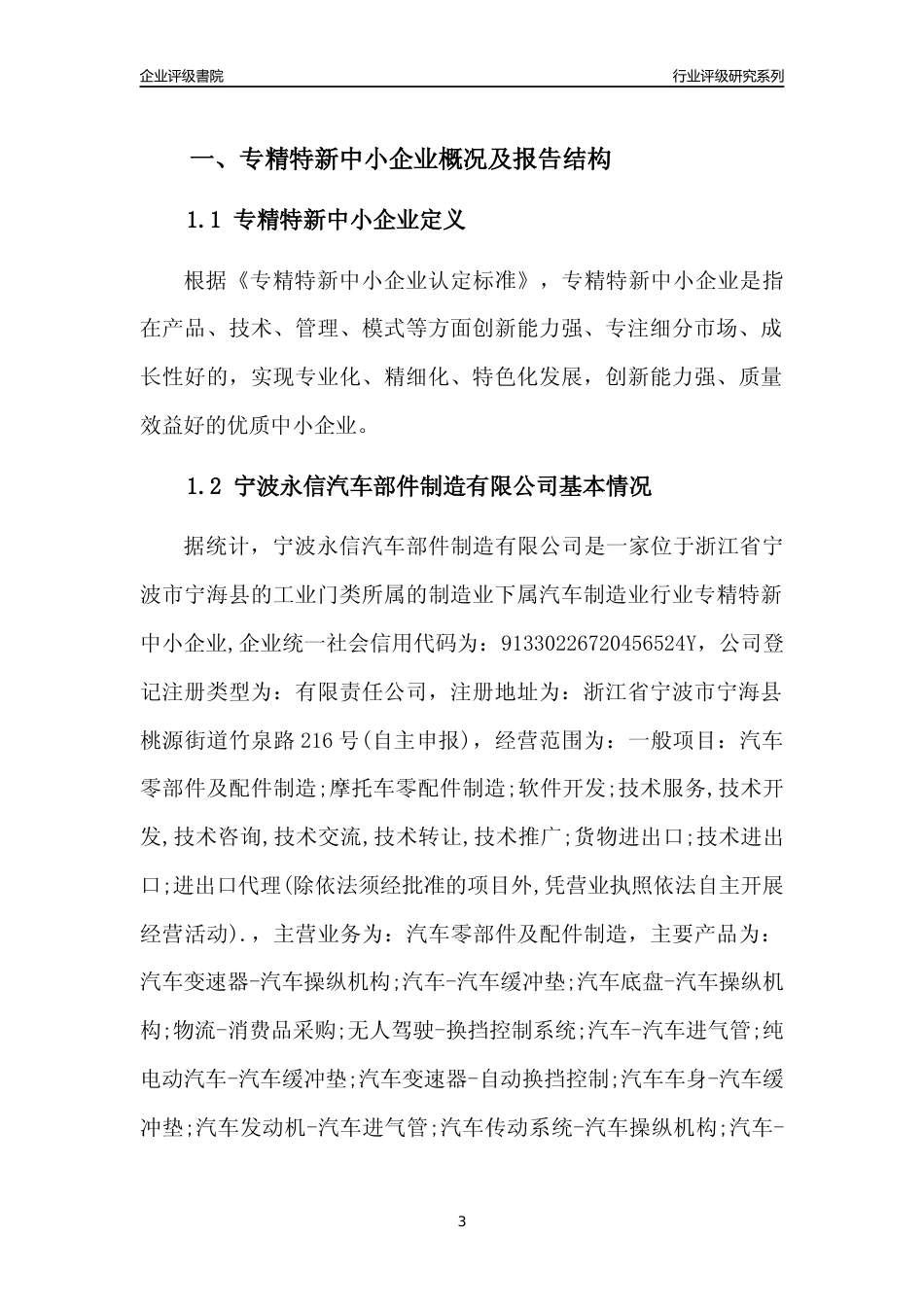 [专精特新]宁波永信汽车部件制造有限公司行业竞争力评级分析报告(2023版)_第3页