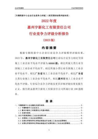 [专精特新]惠州宇新化工有限责任公司行业竞争力评级分析报告(2023版)