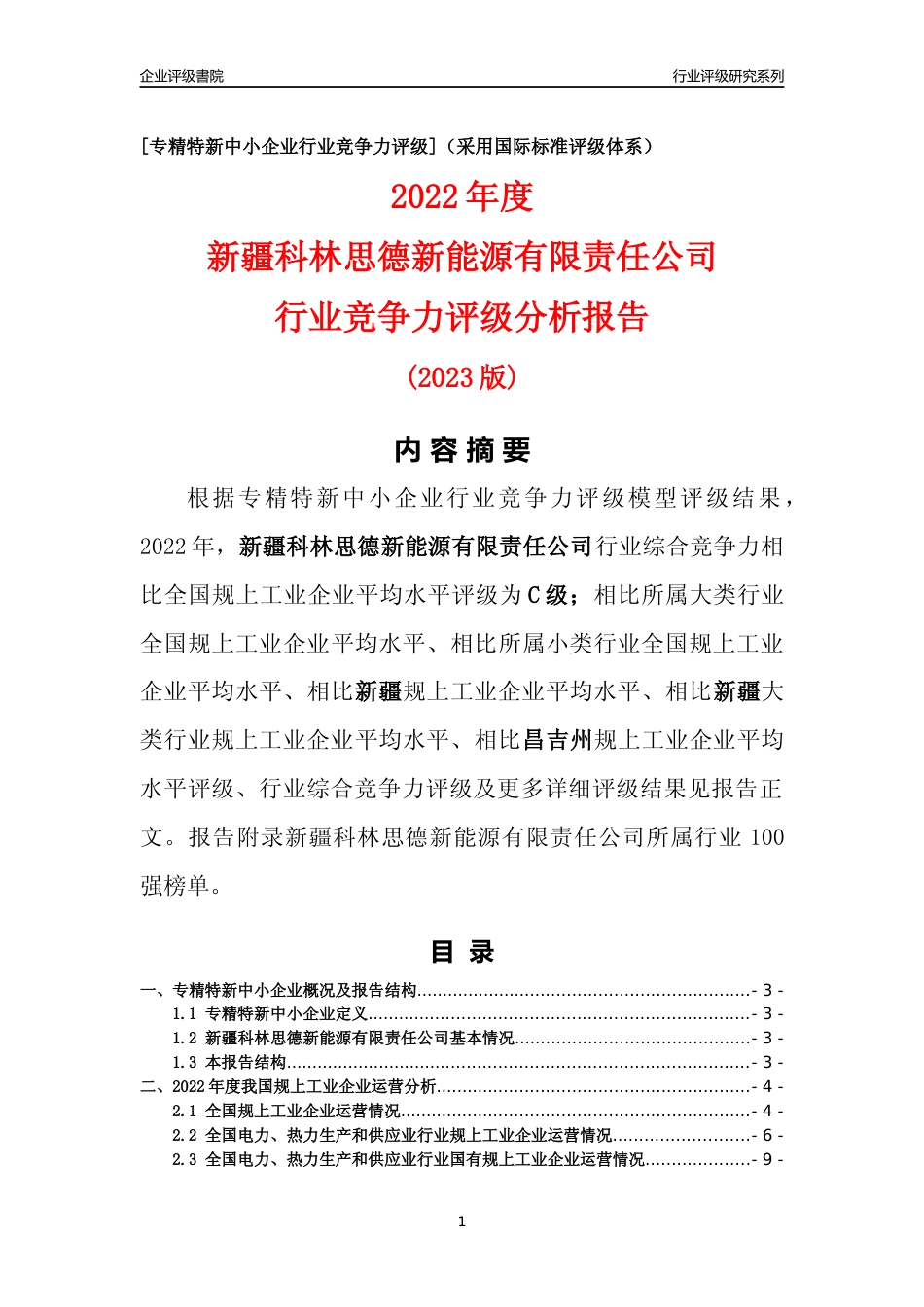 [专精特新]新疆科林思德新能源有限责任公司行业竞争力评级分析报告(2023版)_第1页