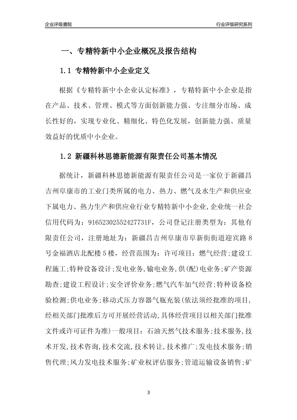 [专精特新]新疆科林思德新能源有限责任公司行业竞争力评级分析报告(2023版)_第3页