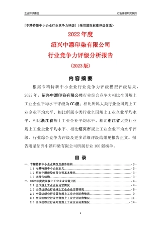 [专精特新]绍兴中漂印染有限公司行业竞争力评级分析报告(2023版)