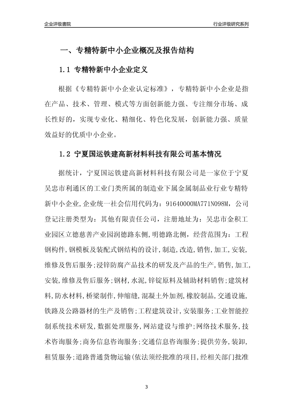 [专精特新]宁夏国运铁建高新材料科技有限公司行业竞争力评级分析报告(2023版)_第3页
