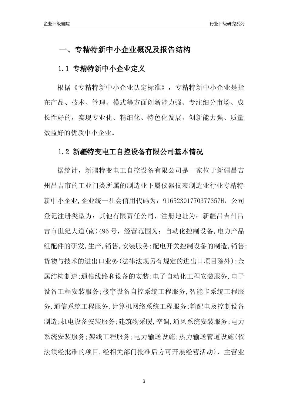 [专精特新]新疆特变电工自控设备有限公司行业竞争力评级分析报告(2023版)_第3页