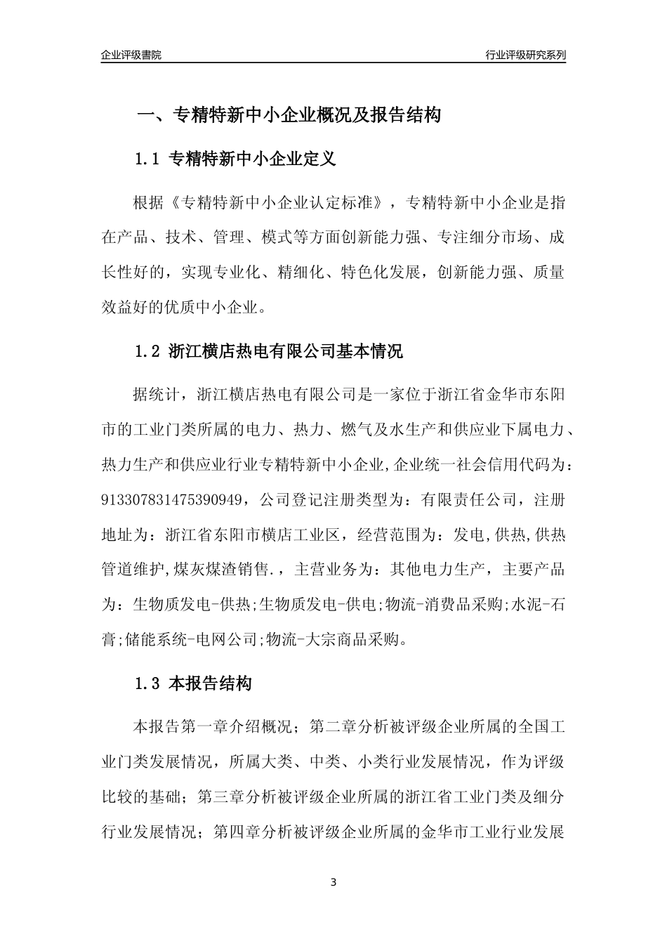 [专精特新]浙江横店热电有限公司行业竞争力评级分析报告(2023版)_第3页