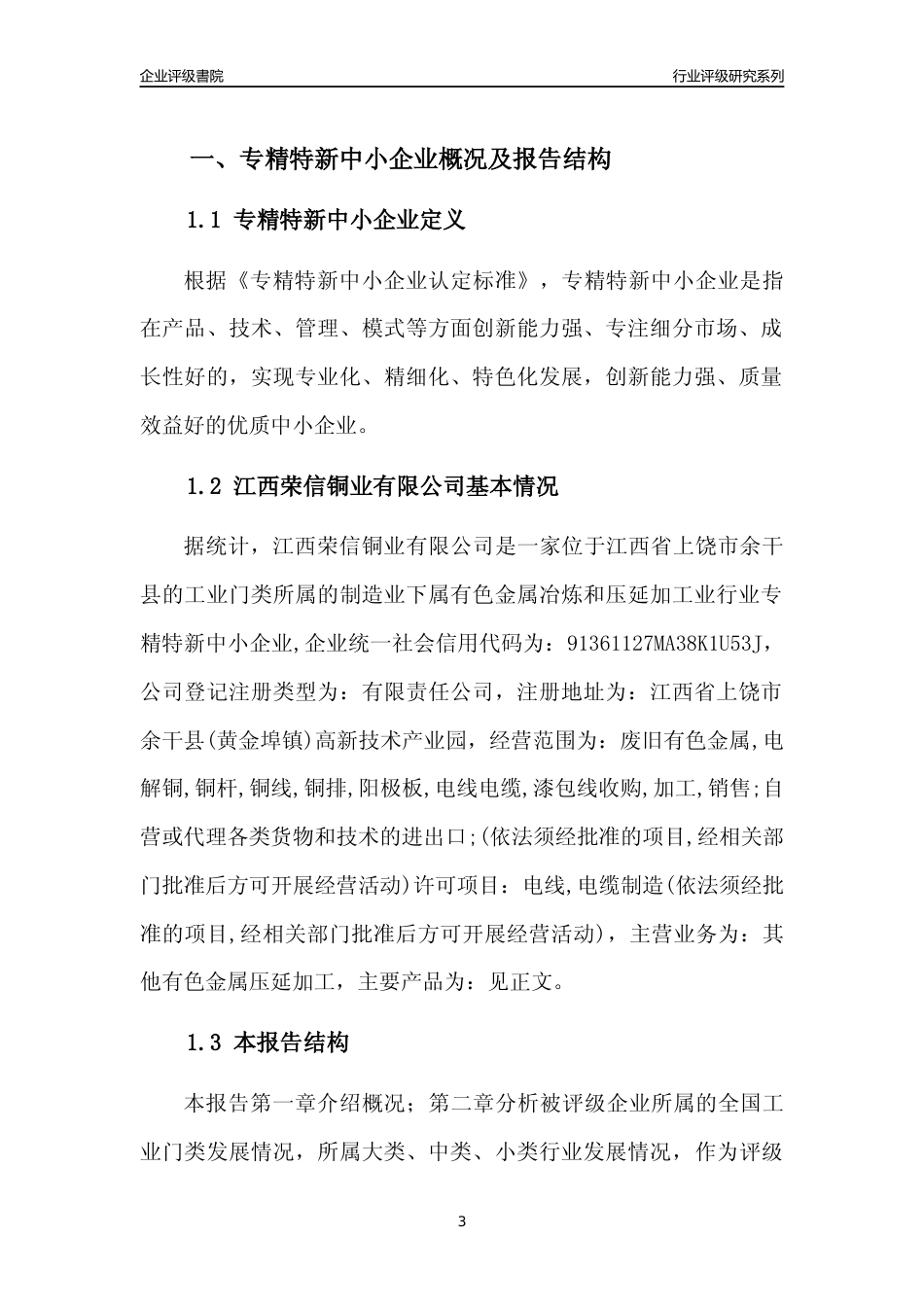[专精特新]江西荣信铜业有限公司行业竞争力评级分析报告(2023版)_第3页