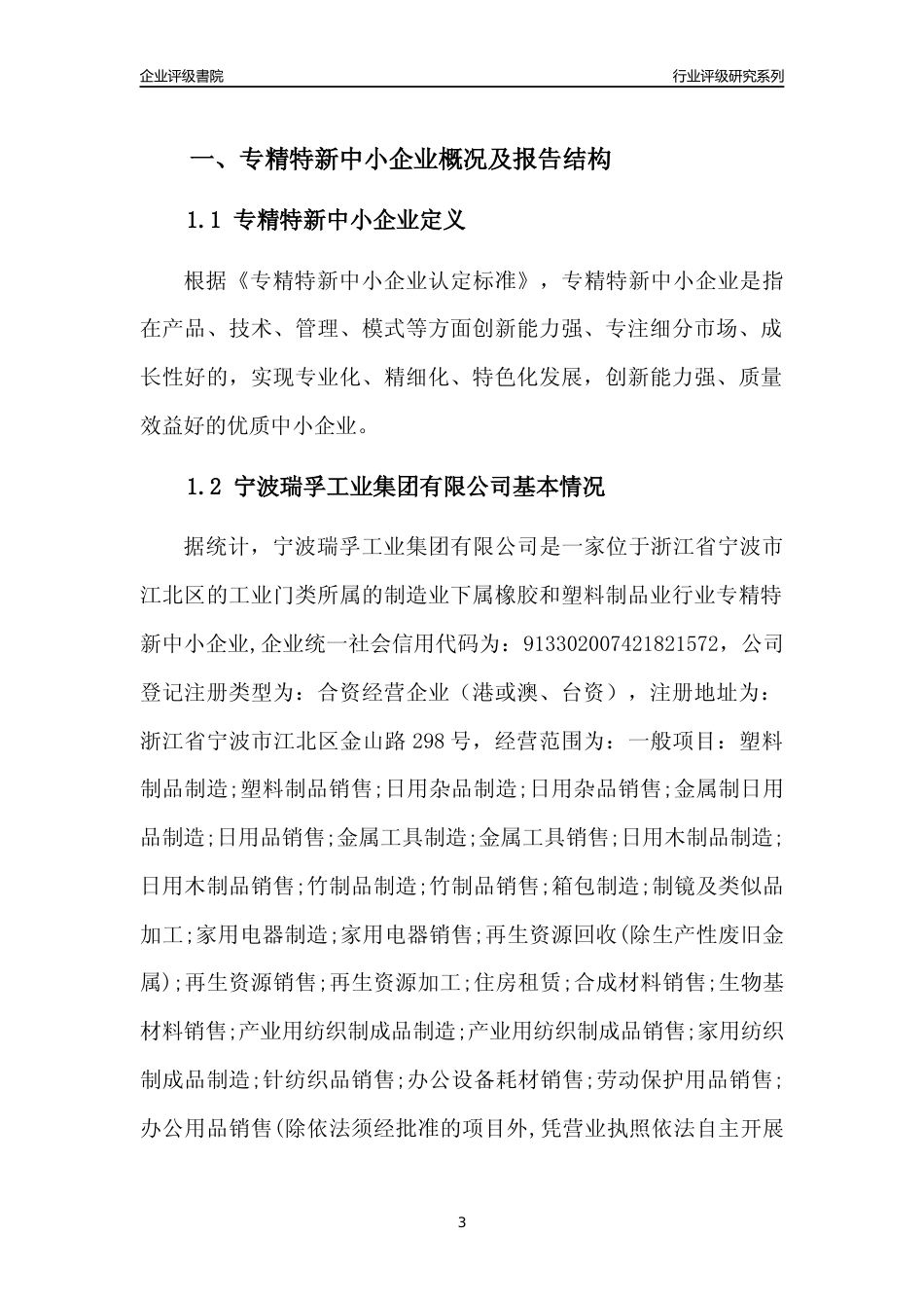 [专精特新]宁波瑞孚工业集团有限公司行业竞争力评级分析报告(2023版)_第3页