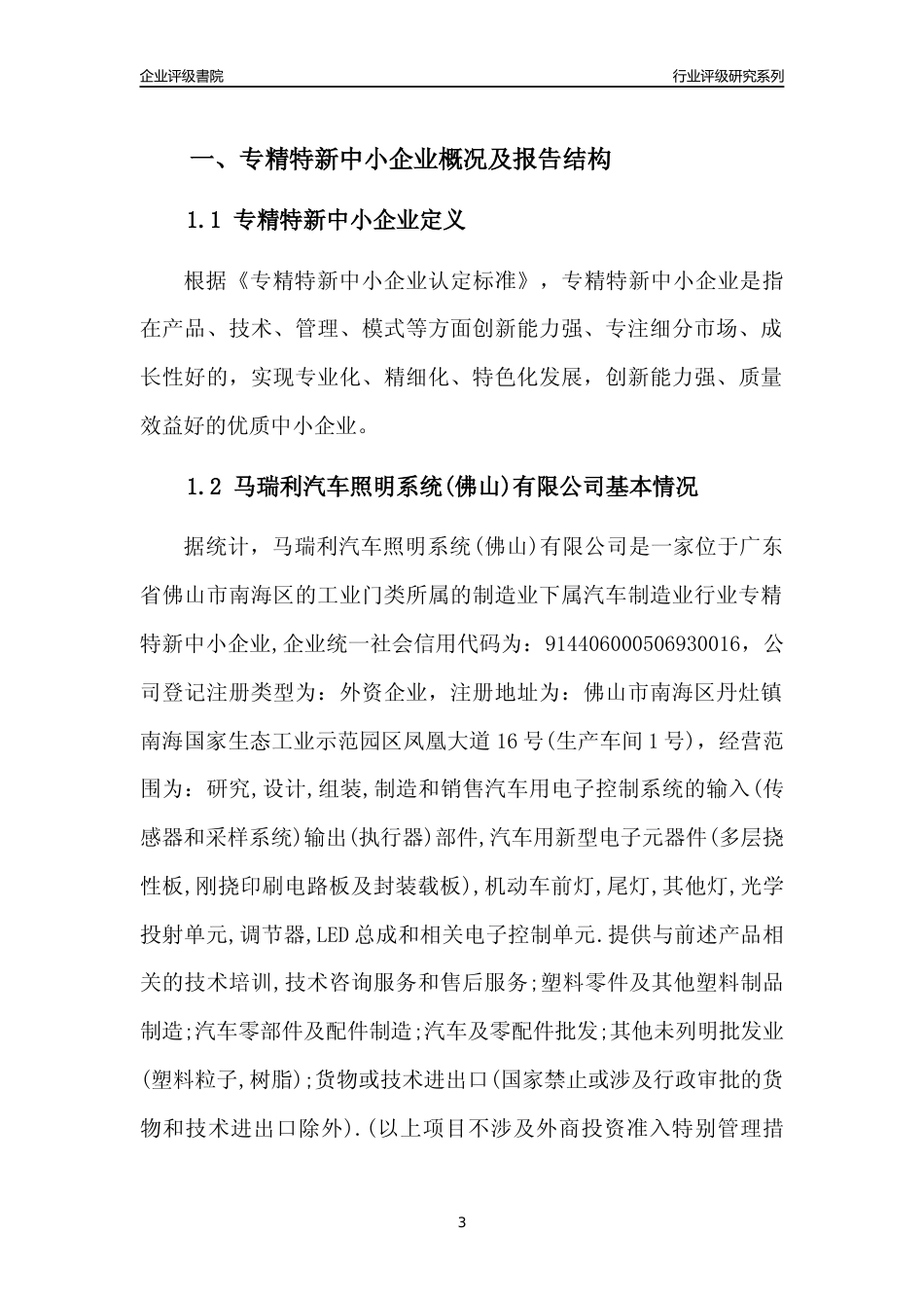 [专精特新]马瑞利汽车照明系统(佛山)有限公司行业竞争力评级分析报告(2023版)_第3页