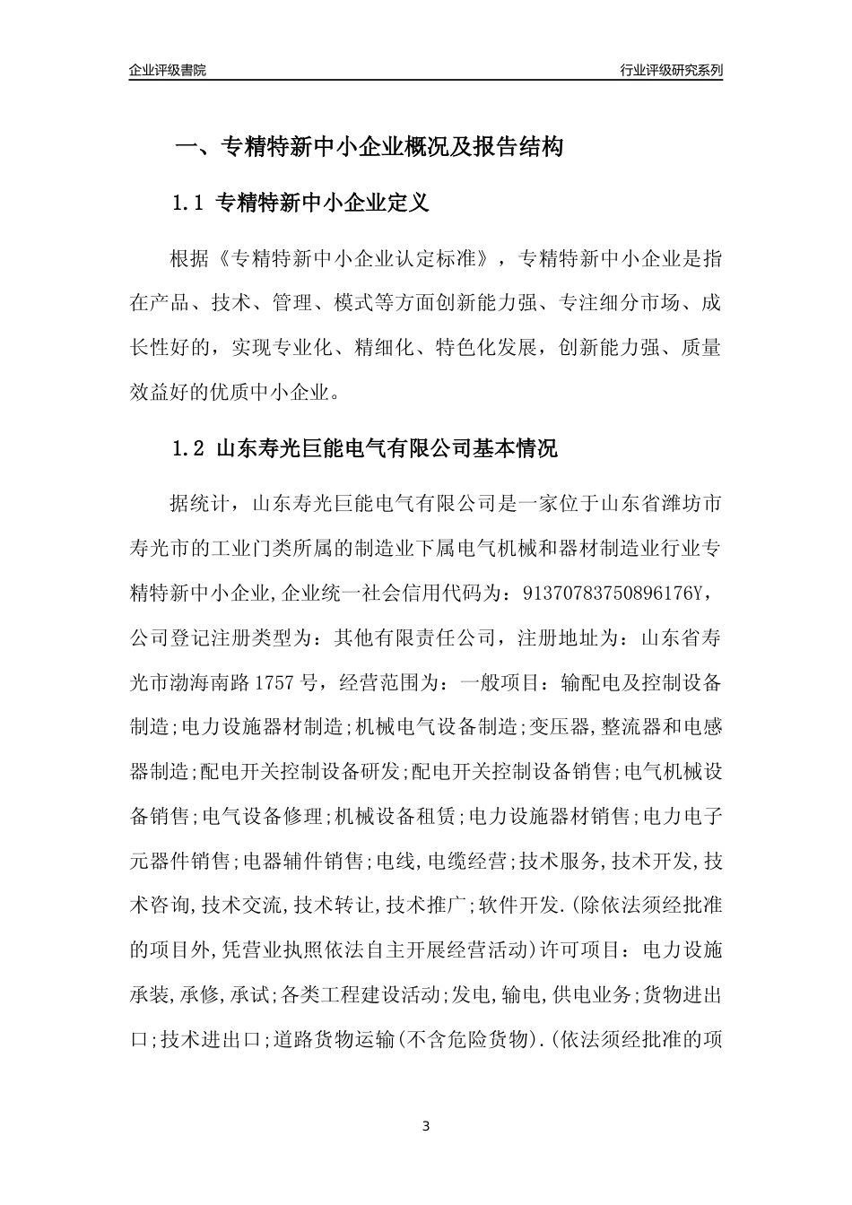 [专精特新]山东寿光巨能电气有限公司行业竞争力评级分析报告(2023版)_第3页