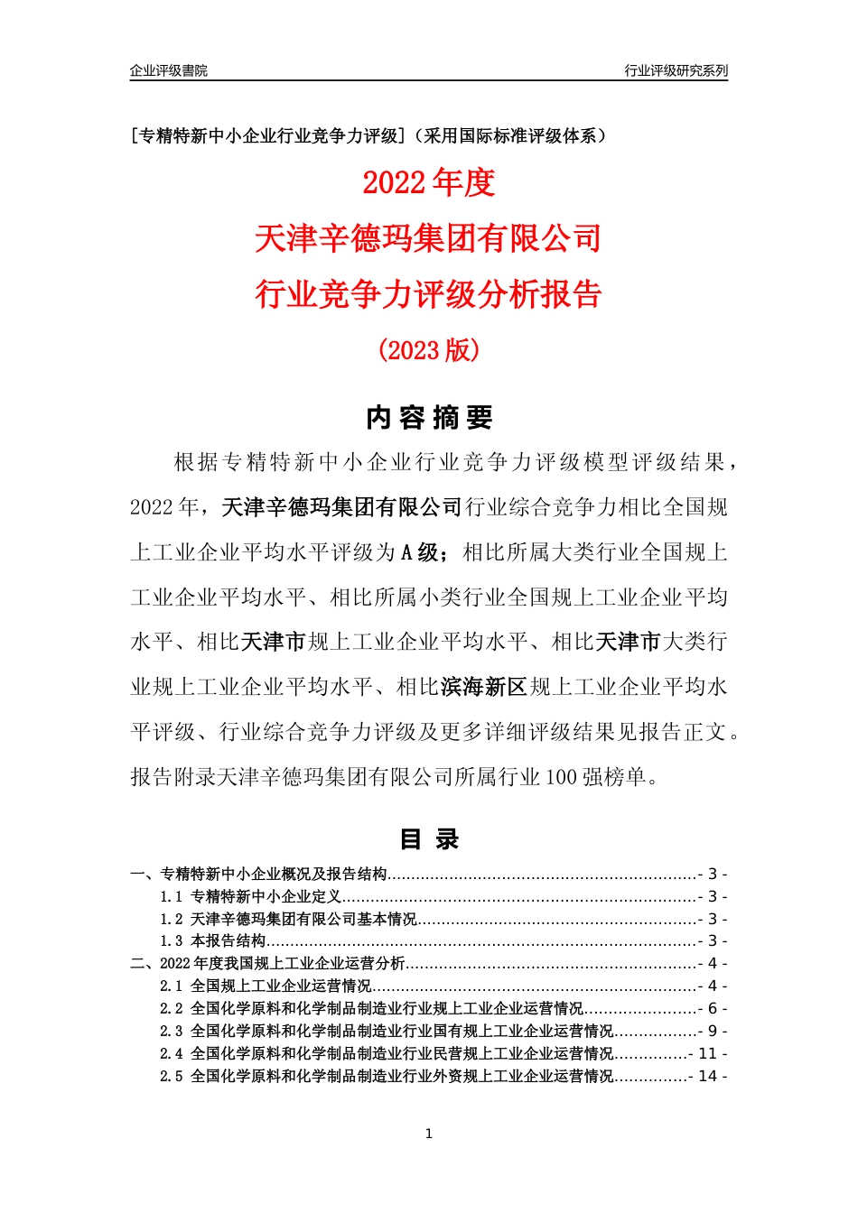 [专精特新]天津辛德玛集团有限公司行业竞争力评级分析报告(2023版)_第1页