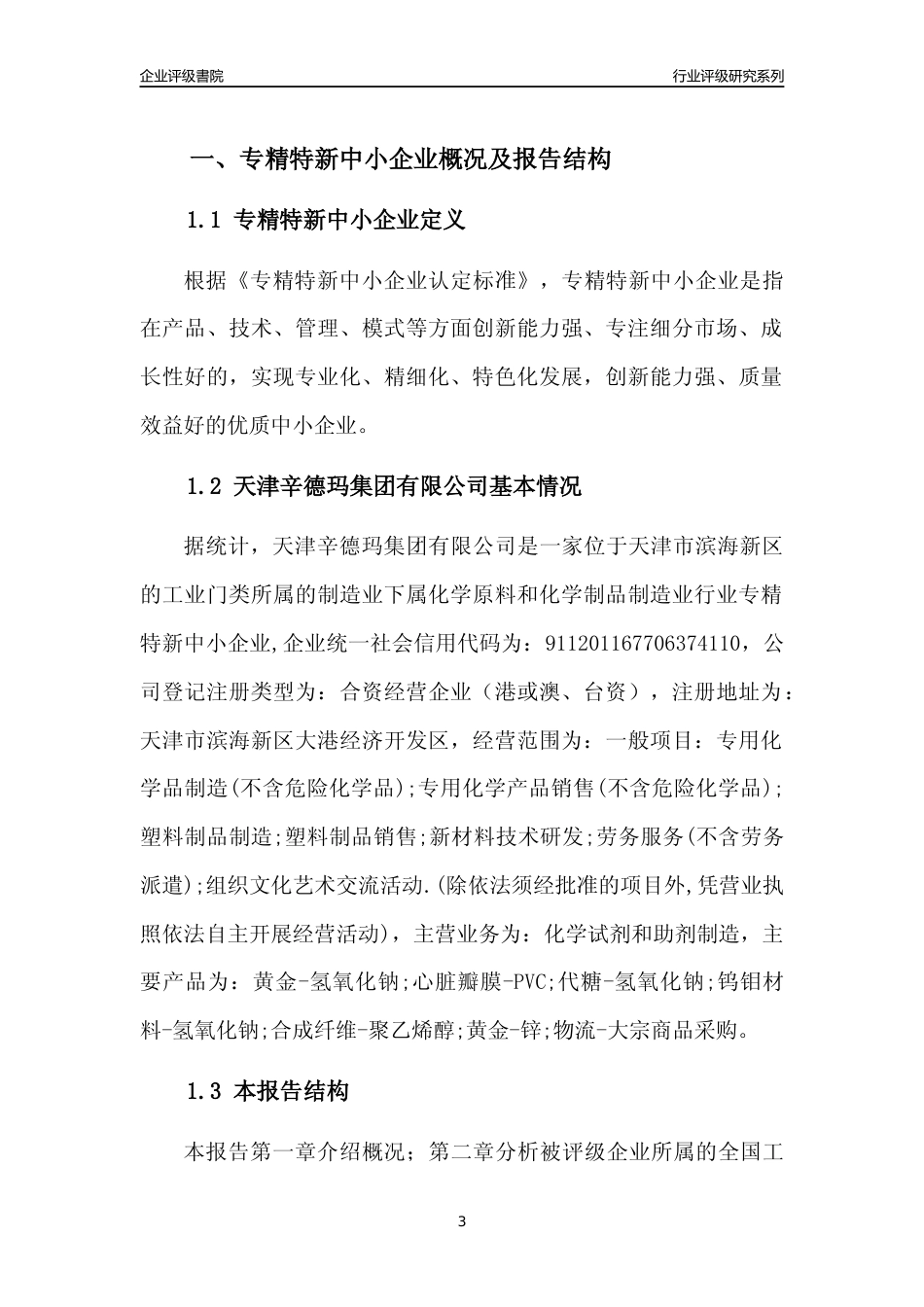 [专精特新]天津辛德玛集团有限公司行业竞争力评级分析报告(2023版)_第3页