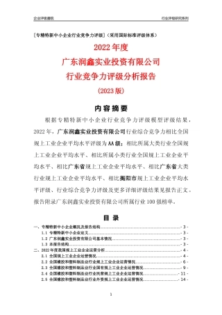 [专精特新]广东润鑫实业投资有限公司行业竞争力评级分析报告(2023版)