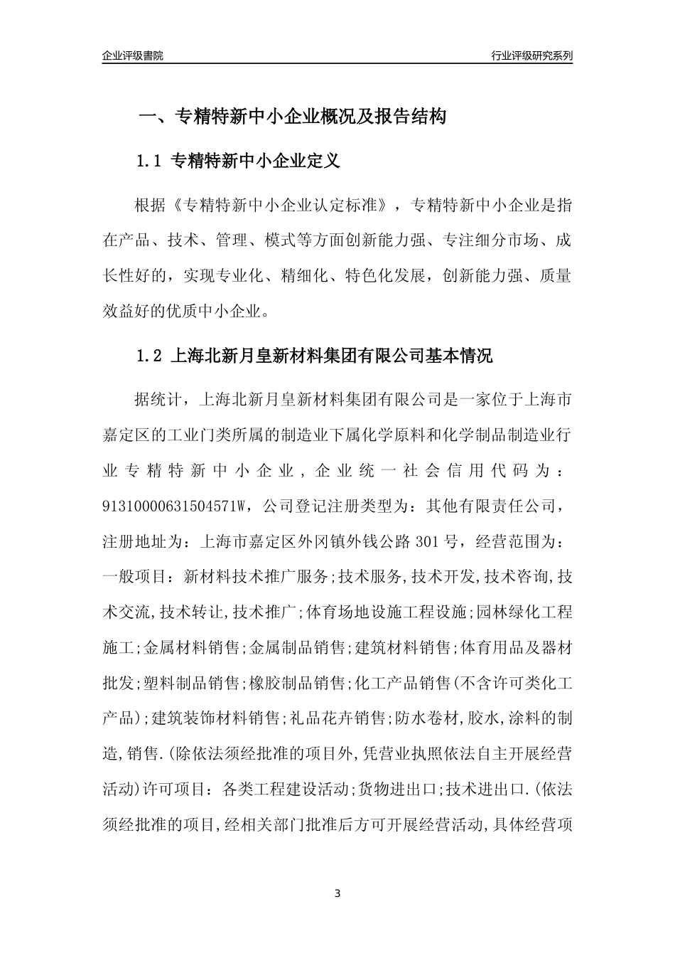 [专精特新]上海北新月皇新材料集团有限公司行业竞争力评级分析报告(2023版)_第3页