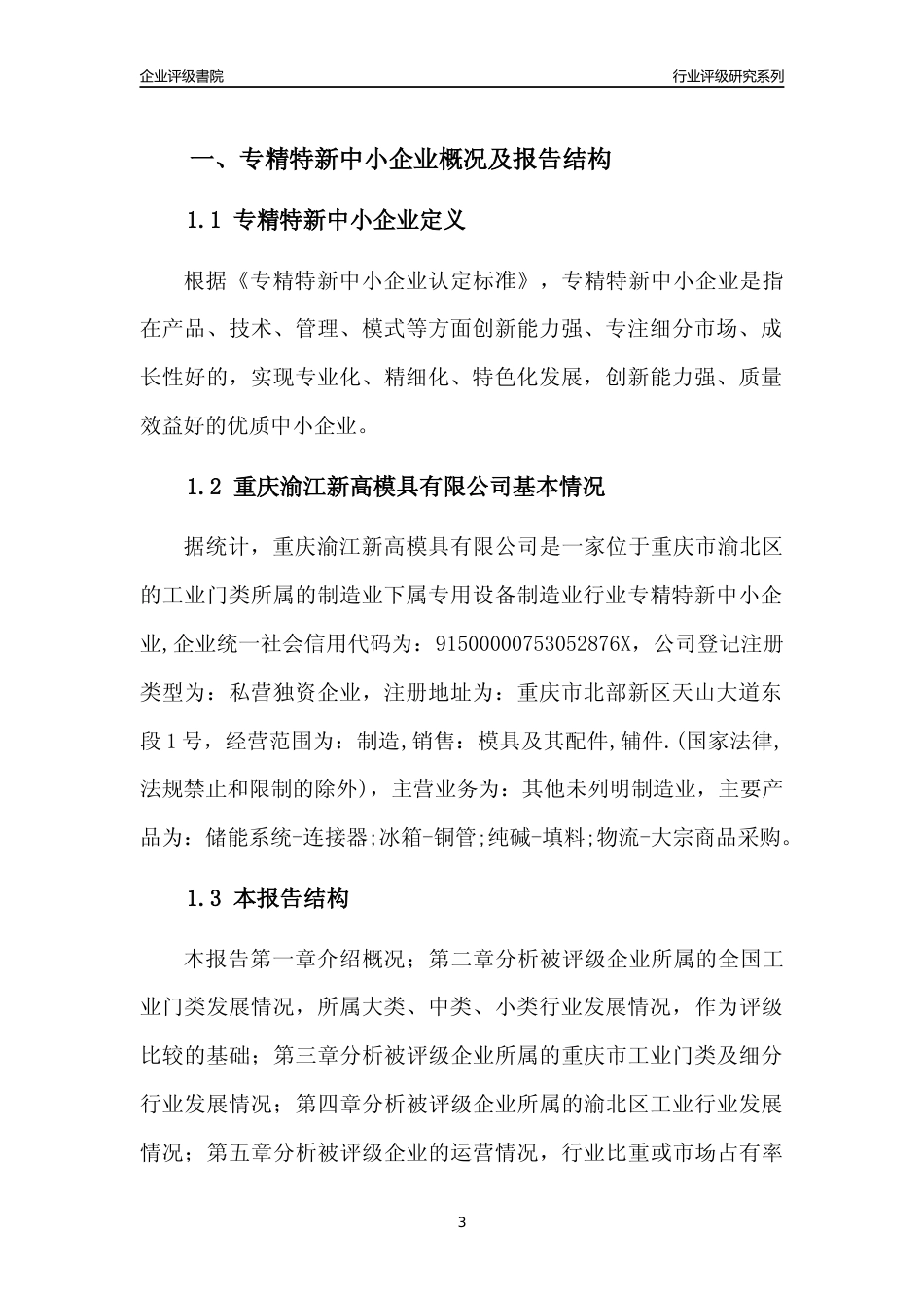 [专精特新]重庆渝江新高模具有限公司行业竞争力评级分析报告(2023版)_第3页