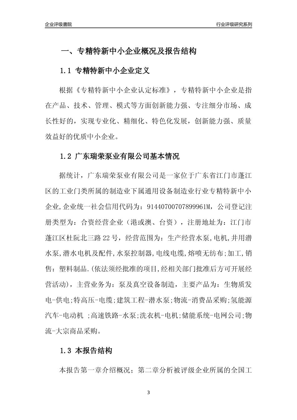 [专精特新]广东瑞荣泵业有限公司行业竞争力评级分析报告(2023版)_第3页