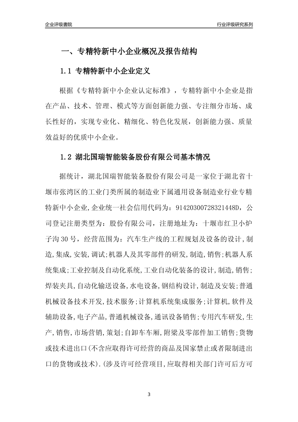 [专精特新]湖北国瑞智能装备股份有限公司行业竞争力评级分析报告(2023版)_第3页