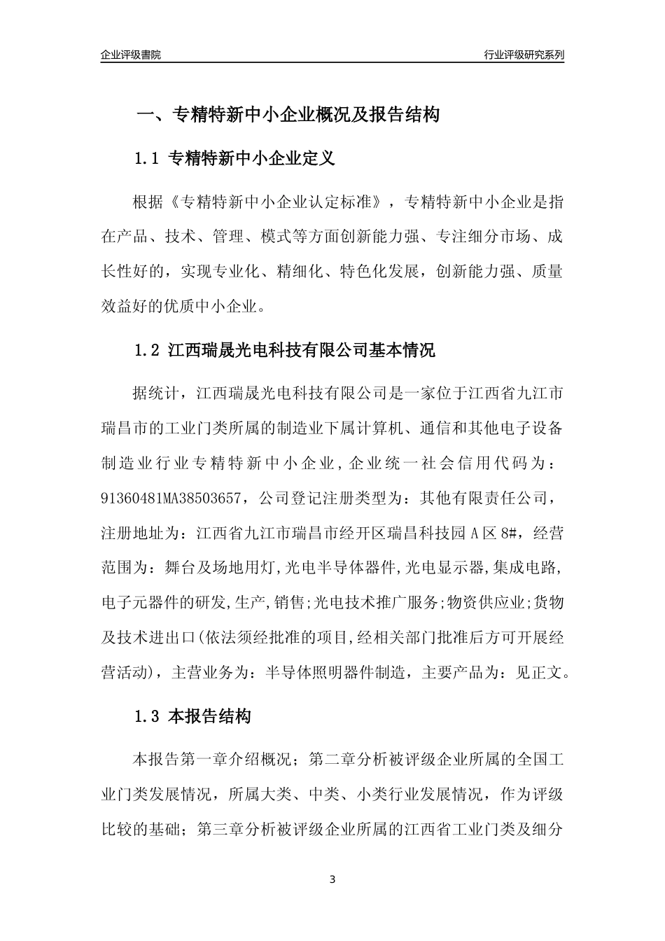 [专精特新]江西瑞晟光电科技有限公司行业竞争力评级分析报告(2023版)_第3页