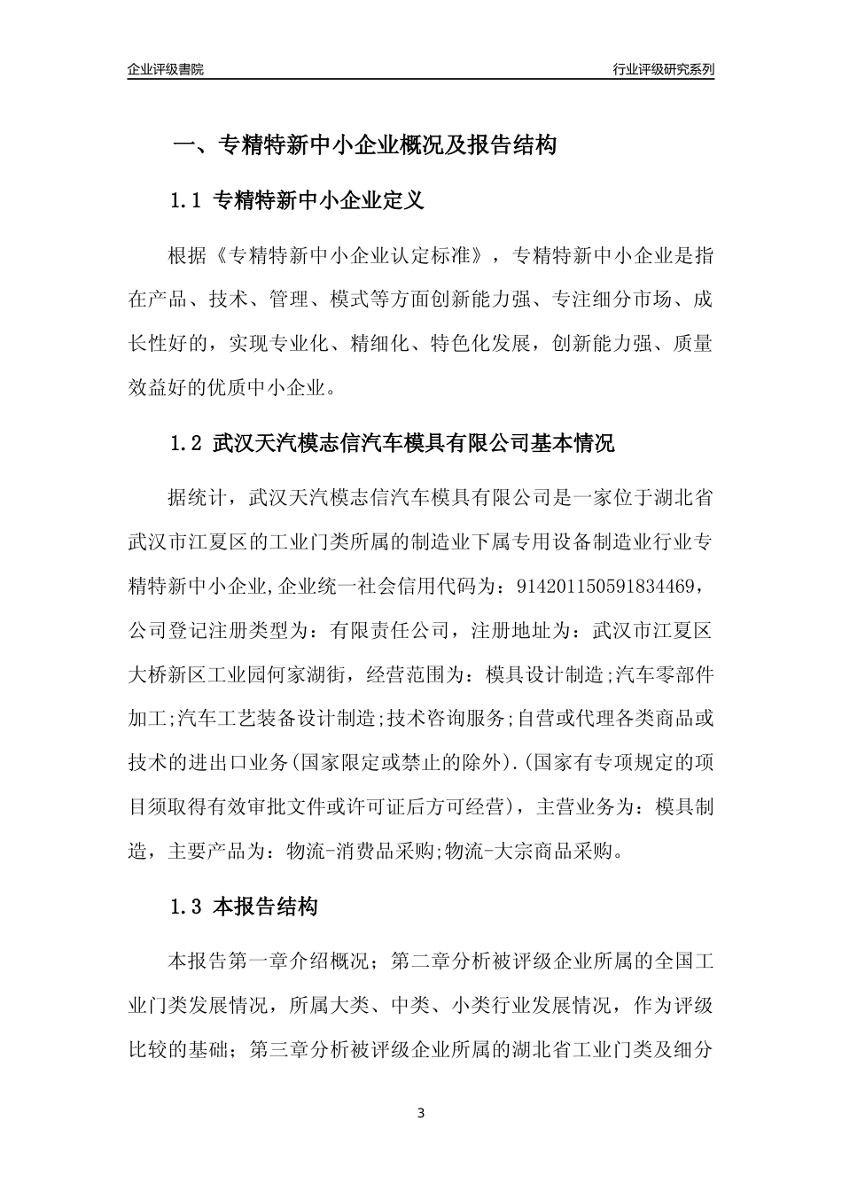 [专精特新]武汉天汽模志信汽车模具有限公司行业竞争力评级分析报告(2023版)_第3页