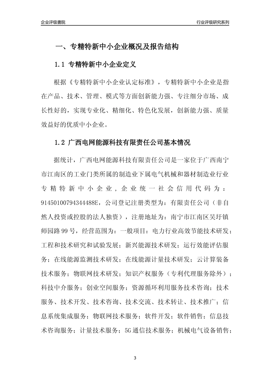 [专精特新]广西电网能源科技有限责任公司行业竞争力评级分析报告(2023版)_第3页