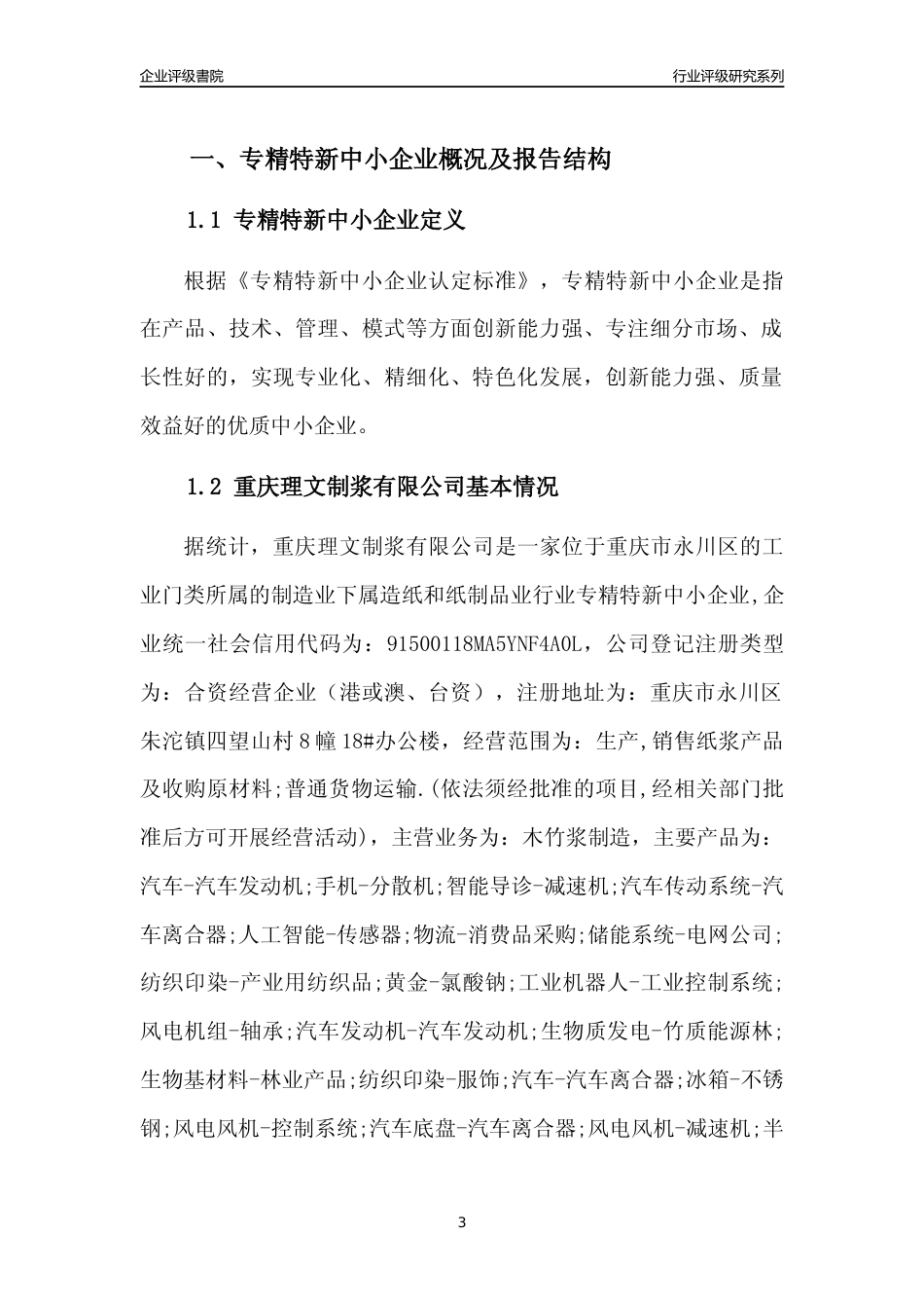 [专精特新]重庆理文制浆有限公司行业竞争力评级分析报告(2023版)_第3页