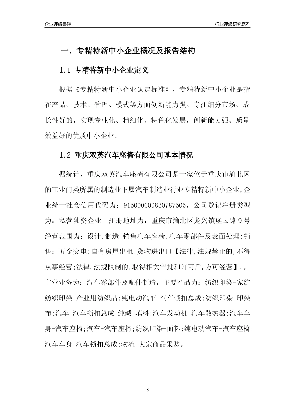[专精特新]重庆双英汽车座椅有限公司行业竞争力评级分析报告(2023版)_第3页
