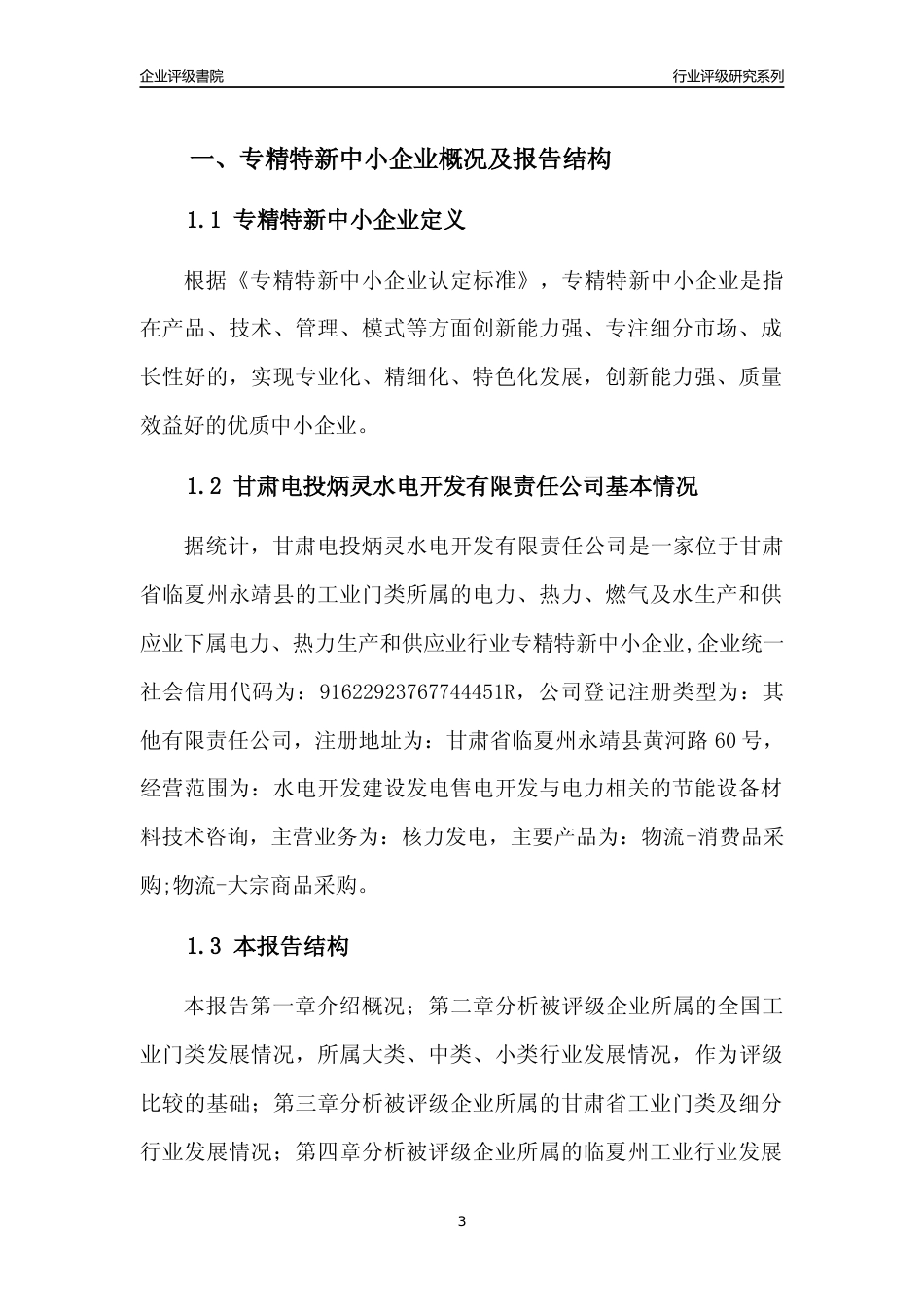 [专精特新]甘肃电投炳灵水电开发有限责任公司行业竞争力评级分析报告(2023版)_第3页