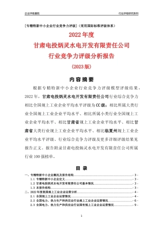 [专精特新]甘肃电投炳灵水电开发有限责任公司行业竞争力评级分析报告(2023版)