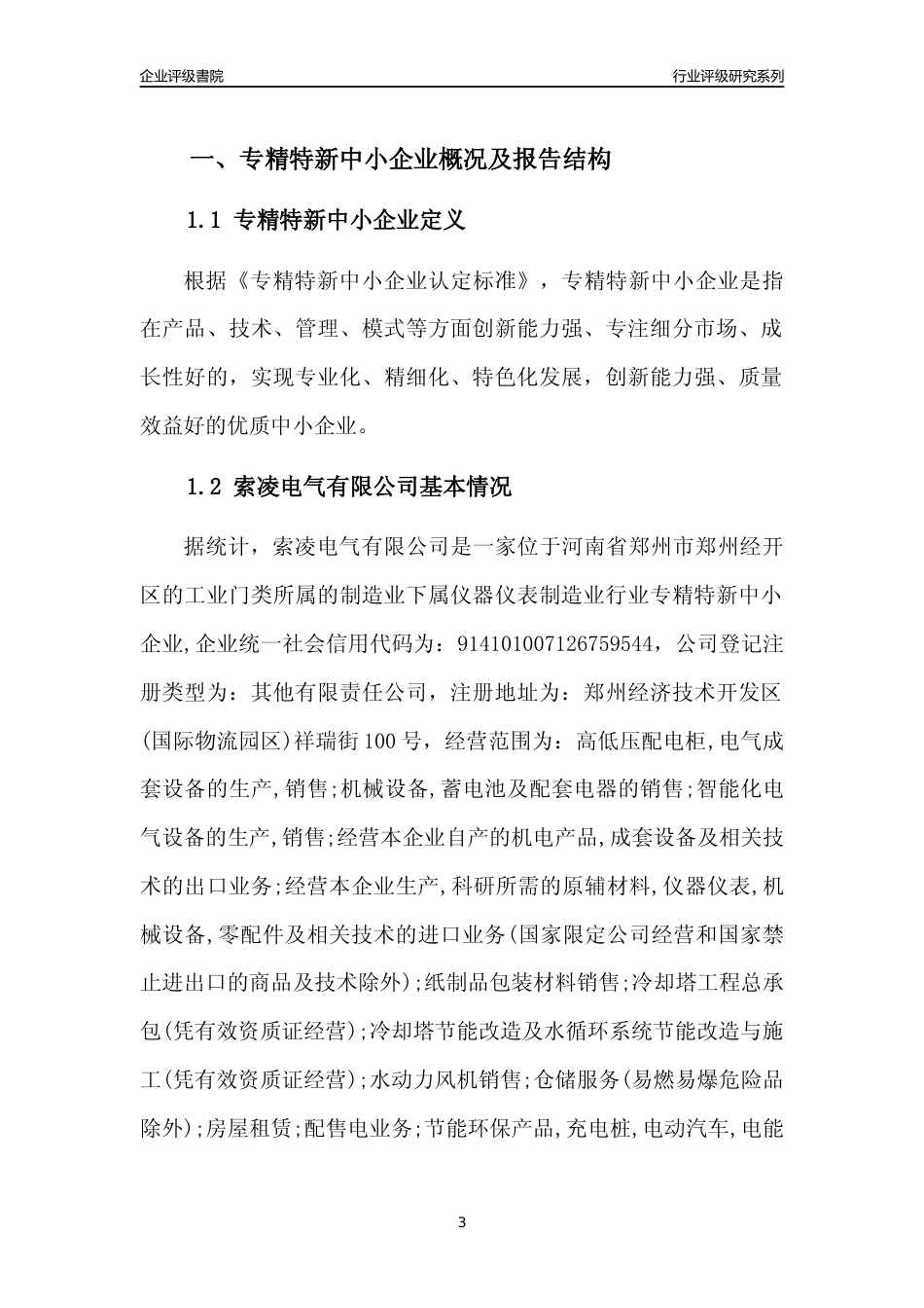 [专精特新]索凌电气有限公司行业竞争力评级分析报告(2023版)_第3页