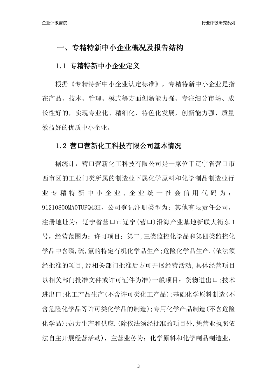 [专精特新]营口营新化工科技有限公司行业竞争力评级分析报告(2023版)_第3页