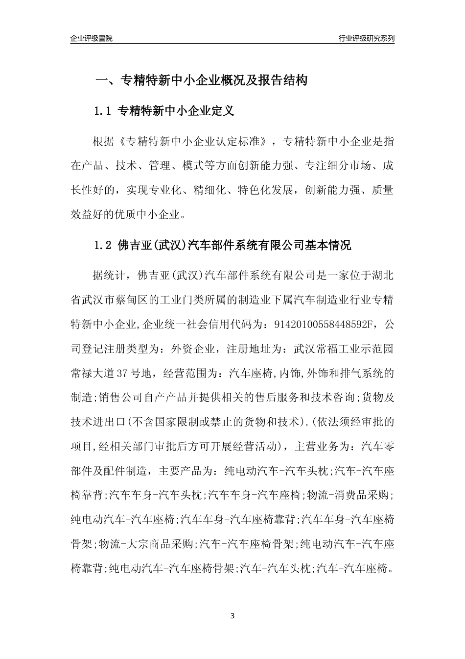 [专精特新]佛吉亚(武汉)汽车部件系统有限公司行业竞争力评级分析报告(2023版)_第3页