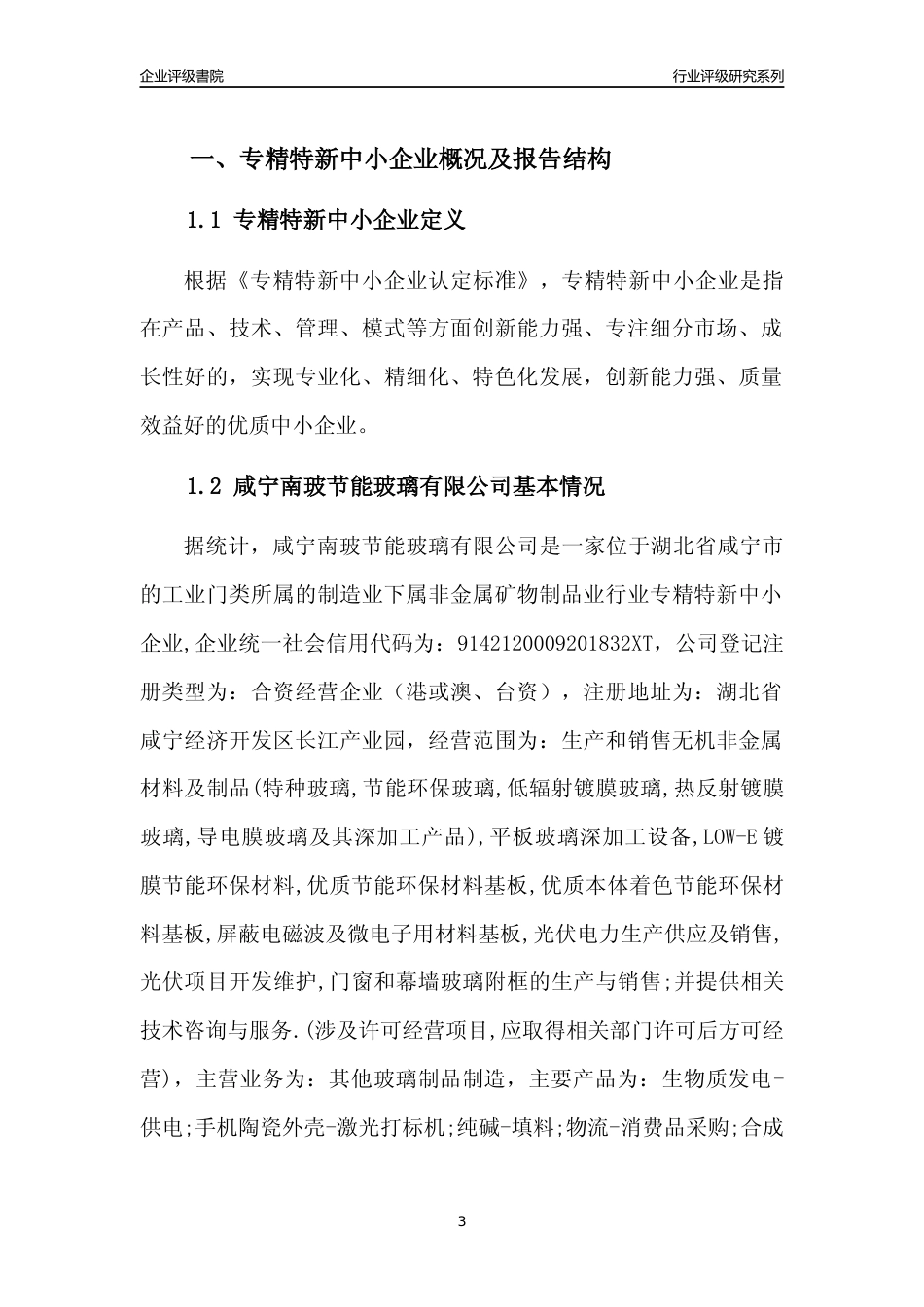 [专精特新]咸宁南玻节能玻璃有限公司行业竞争力评级分析报告(2023版)_第3页