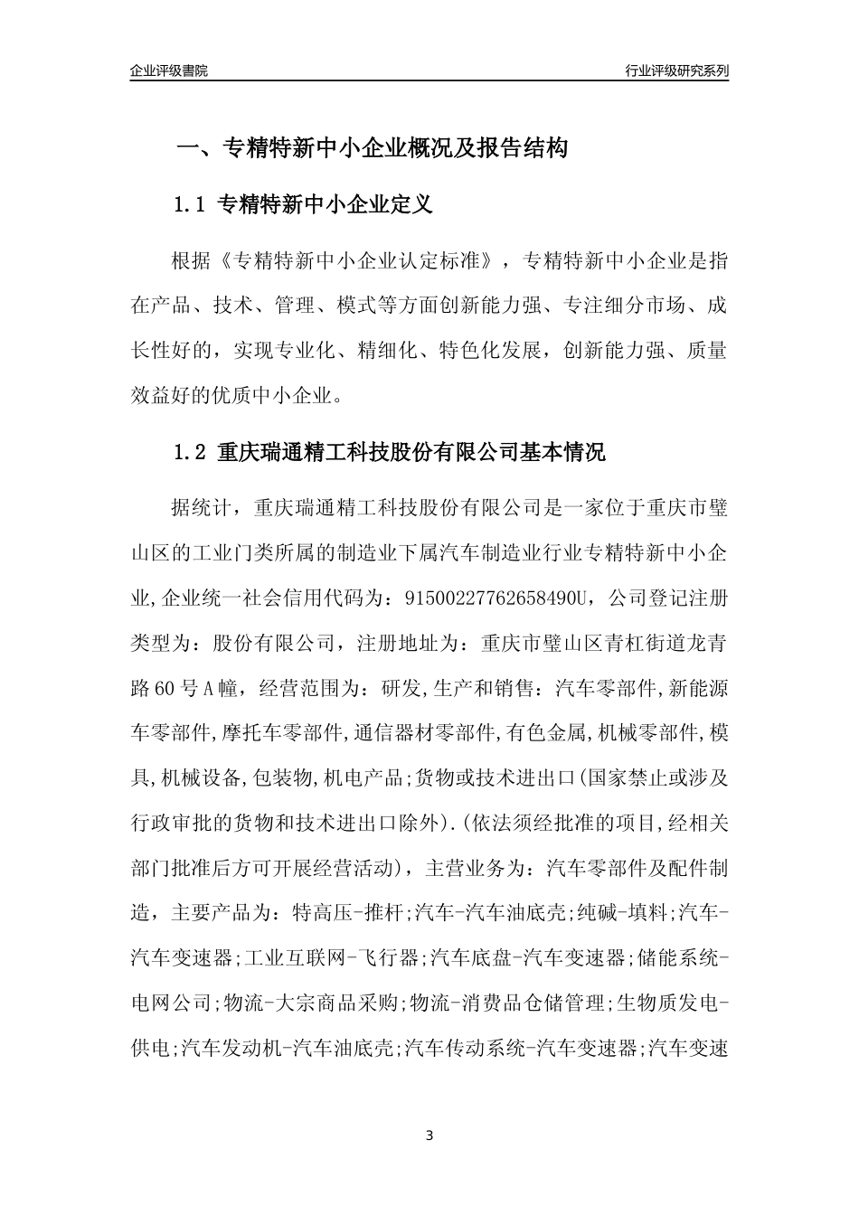 [专精特新]重庆瑞通精工科技股份有限公司行业竞争力评级分析报告(2023版)_第3页