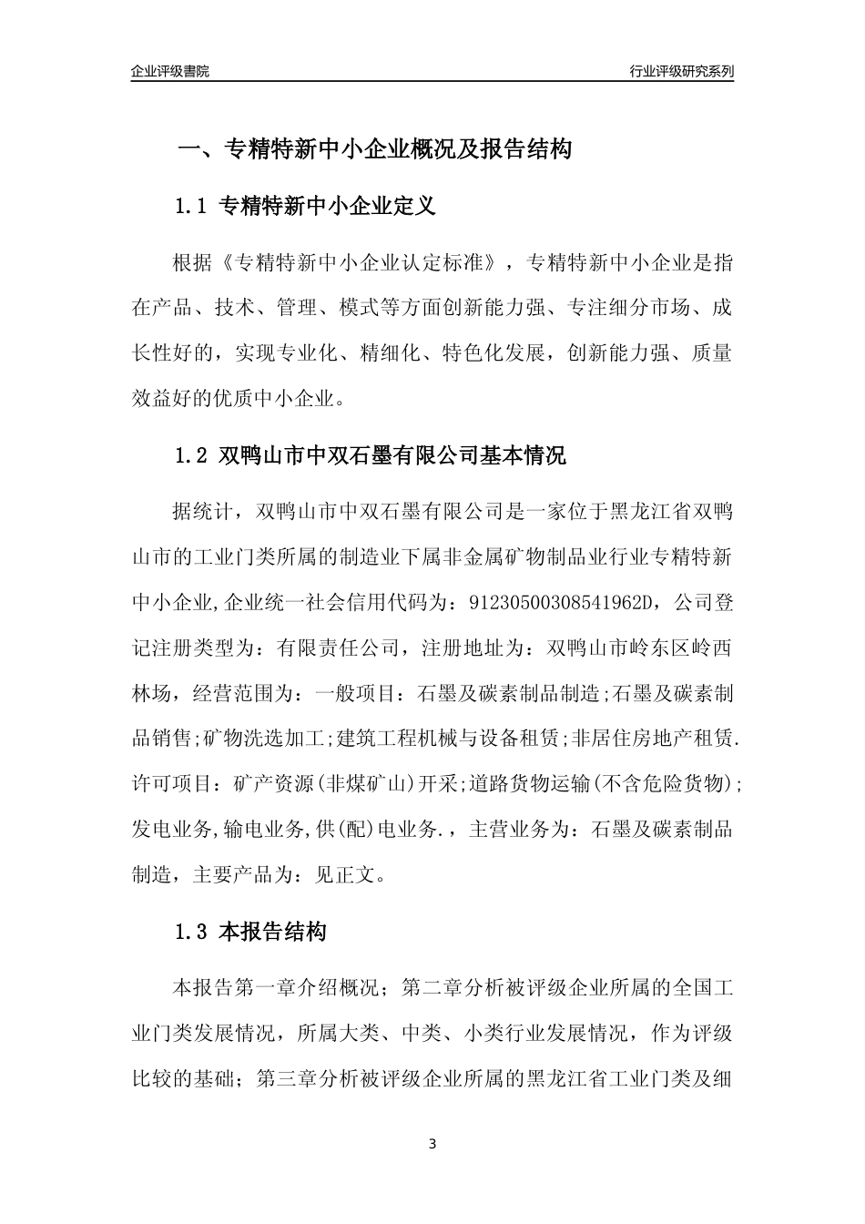 [专精特新]双鸭山市中双石墨有限公司行业竞争力评级分析报告(2023版)_第3页
