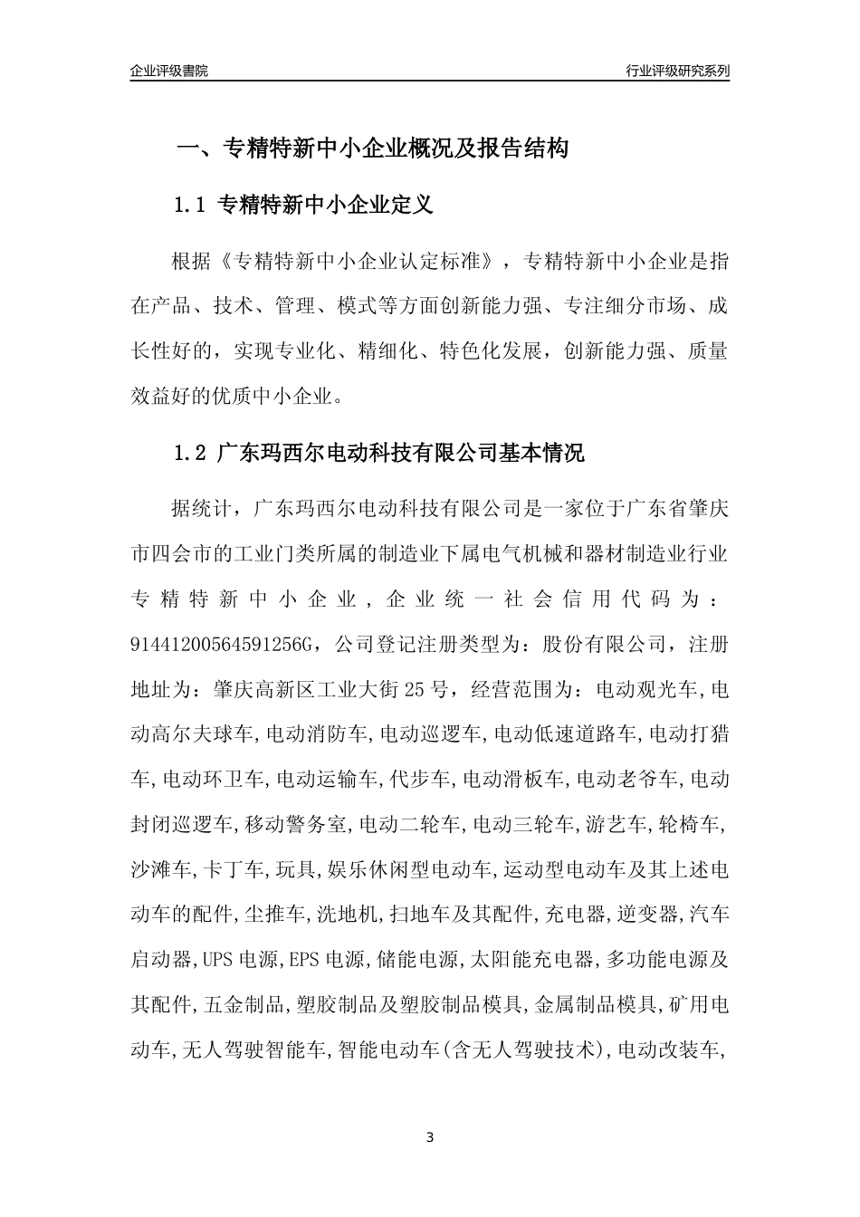 [专精特新]广东玛西尔电动科技有限公司行业竞争力评级分析报告(2023版)_第3页