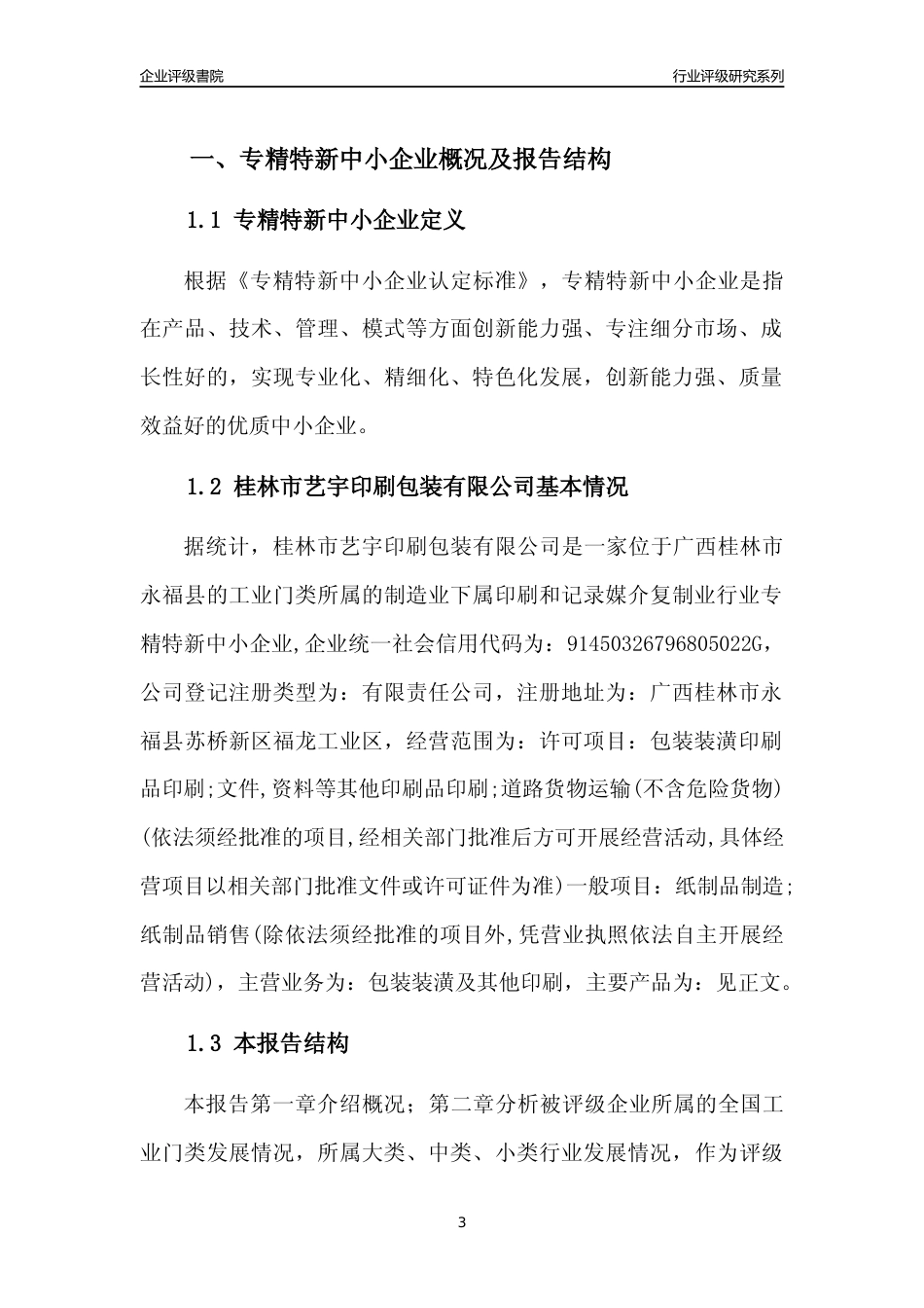 [专精特新]桂林市艺宇印刷包装有限公司行业竞争力评级分析报告(2023版)_第3页