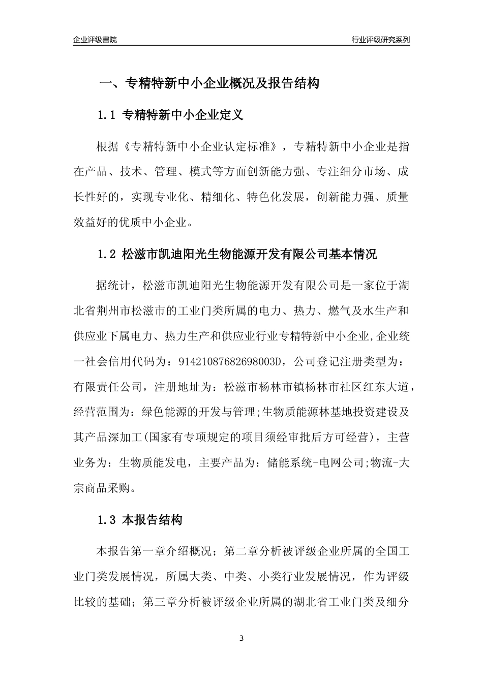 [专精特新]松滋市凯迪阳光生物能源开发有限公司行业竞争力评级分析报告(2023版)_第3页