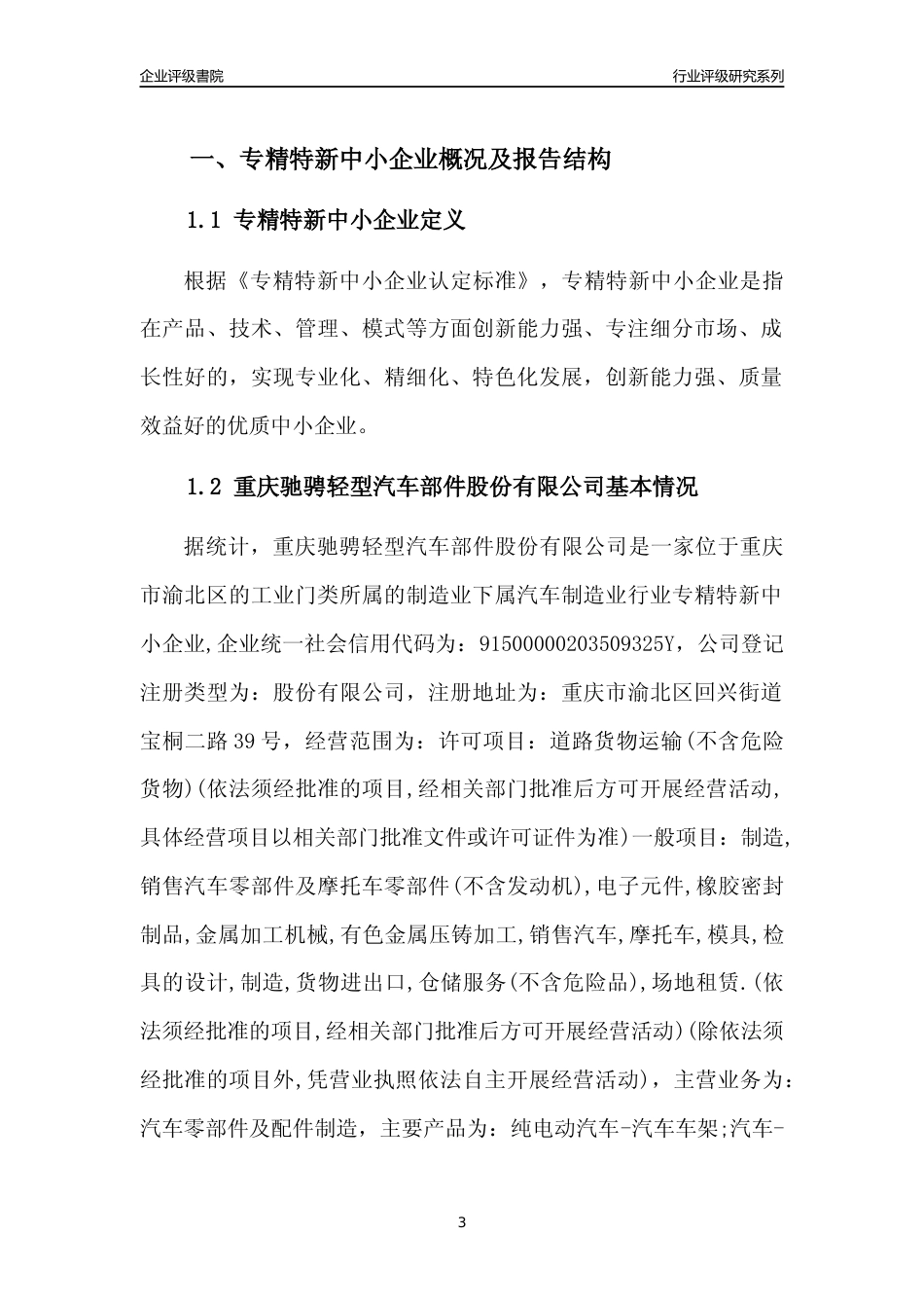 [专精特新]重庆驰骋轻型汽车部件股份有限公司行业竞争力评级分析报告(2023版)_第3页