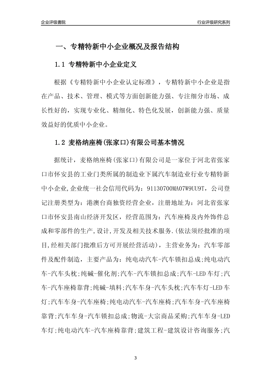 [专精特新]麦格纳座椅(张家口)有限公司行业竞争力评级分析报告(2023版)_第3页