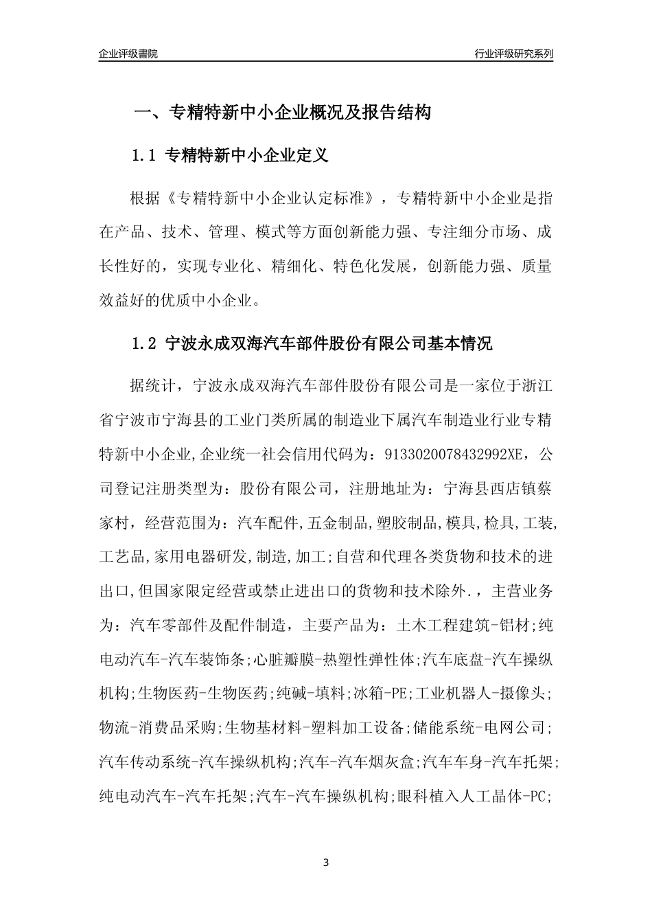[专精特新]宁波永成双海汽车部件股份有限公司行业竞争力评级分析报告(2023版)_第3页